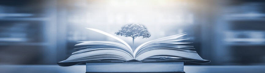 国产车对比合资车的照片