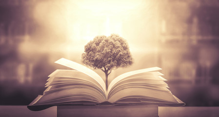 一个新人该如何做好房产中介？