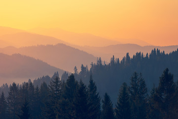 国产车对比合资车的照片