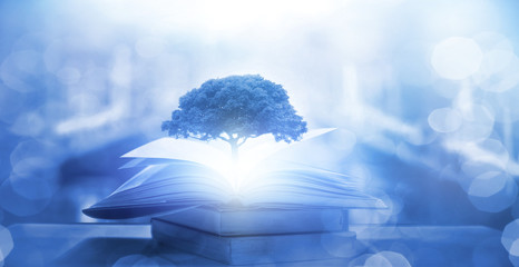 国产车对比合资车的照片