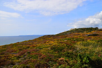 承德鑫汇湾家居淘宝城怎么样？