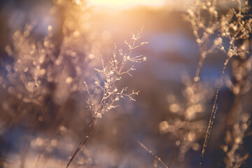 房地产中的LOFT是什么意思