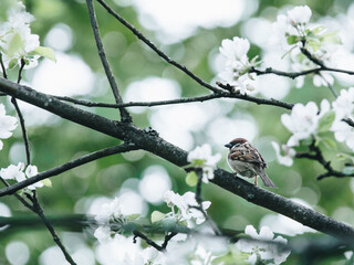 吴亚军的人物事件