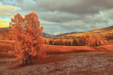 为什么韩国车都是国产车