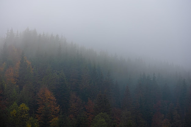 承德鑫汇湾家居淘宝城怎么样？
