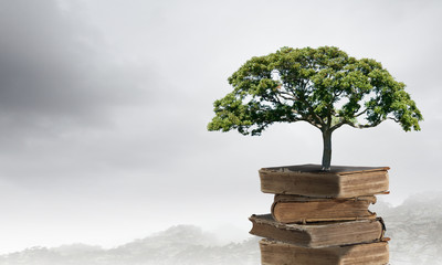 宁夏静安房地产有限公司