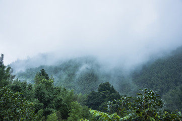 一个新人该如何做好房产中介？
